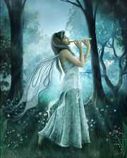 Faeries
