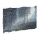 Forest Location