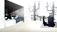 Rex and Bobo's room