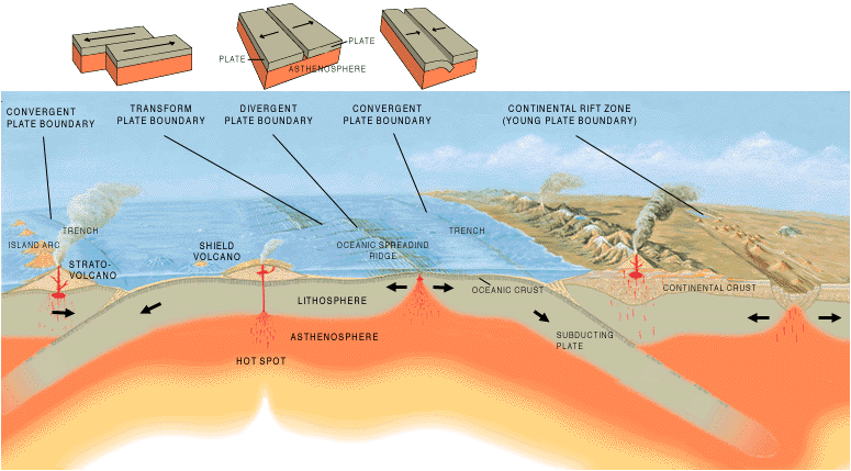 Abyssal plain | Geology Wiki | FANDOM powered by Wikia