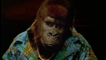 An Ape Named Ape George Of The Jungle Fandom