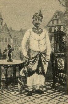201f76221b520d5bea9bd5d50a9c5395--incredible-india-duleep-singh