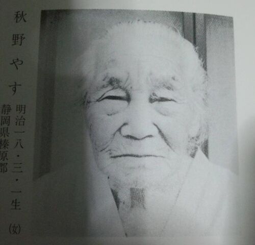 File:Yasu Akino.jpeg