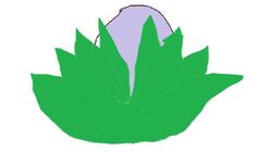Sprout's egg