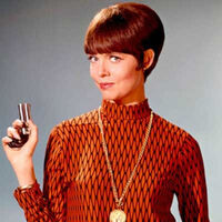 Agent 99 | Get Smart Wiki | FANDOM powered by Wikia