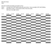 Bioscreentemplate