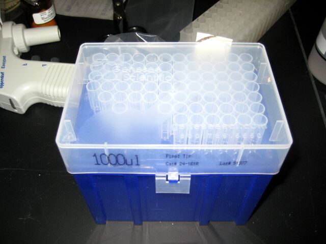 File:Img 0745-p.jpg