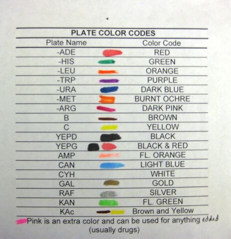 File:Yeastplatecolorcodes.jpg