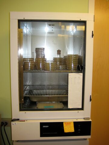 File:Img 0763-p.jpg