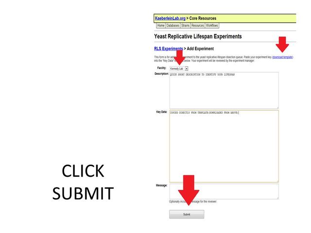 File:Slide10.jpg