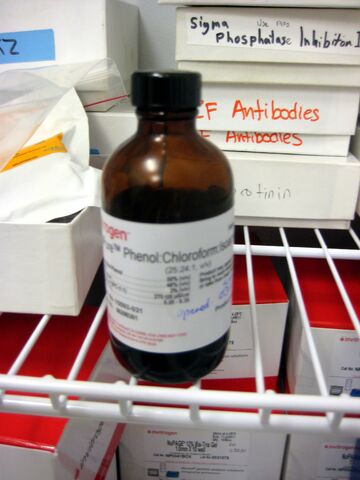 File:Phenolchloroform.jpg