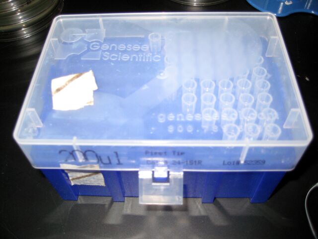 File:Img 0747-p.jpg