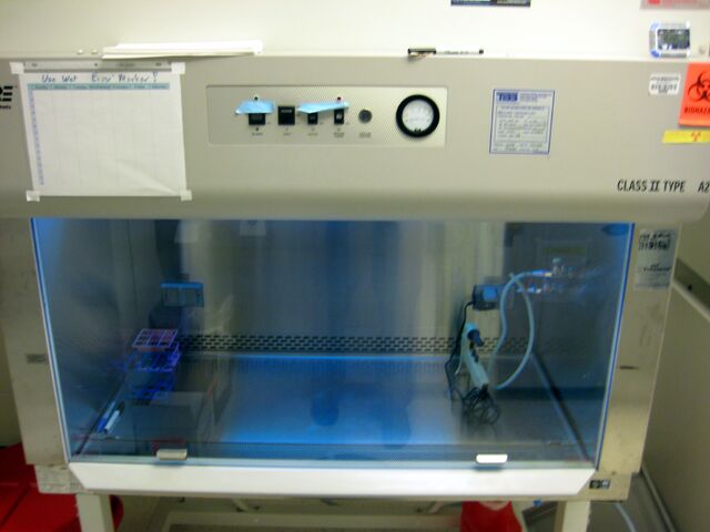 File:Tissueculture.jpg