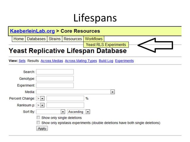 File:Slide5.jpg