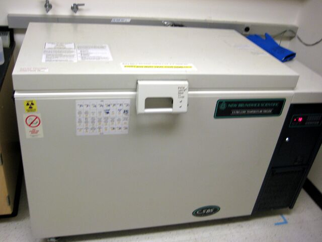 File:Img 0758-p.jpg