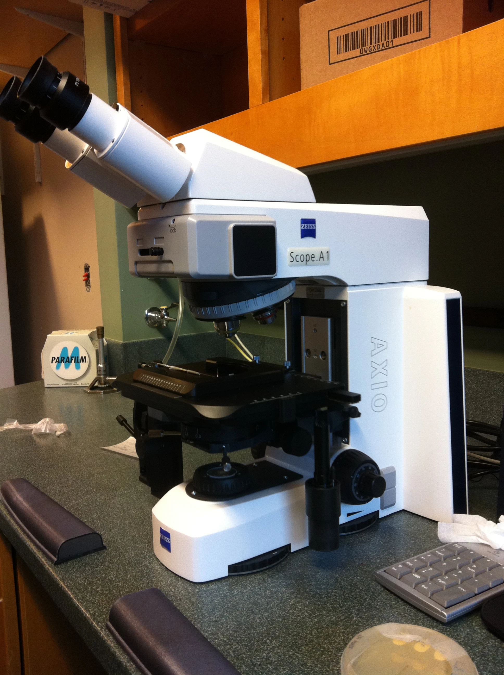 Dissecting Scope | Get Your Science On Wiki | FANDOM powered by Wikia