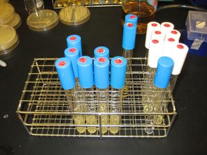 IMG 0783-p