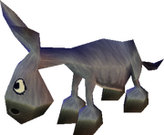 Burro