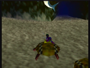 Turtletaxi