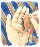 Snt-c1p16f-1