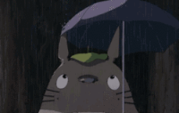 Totoro (3)