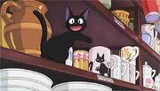 Jiji-cup