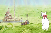 Cat14