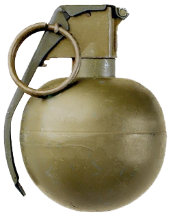 Image result for FRAG grenade