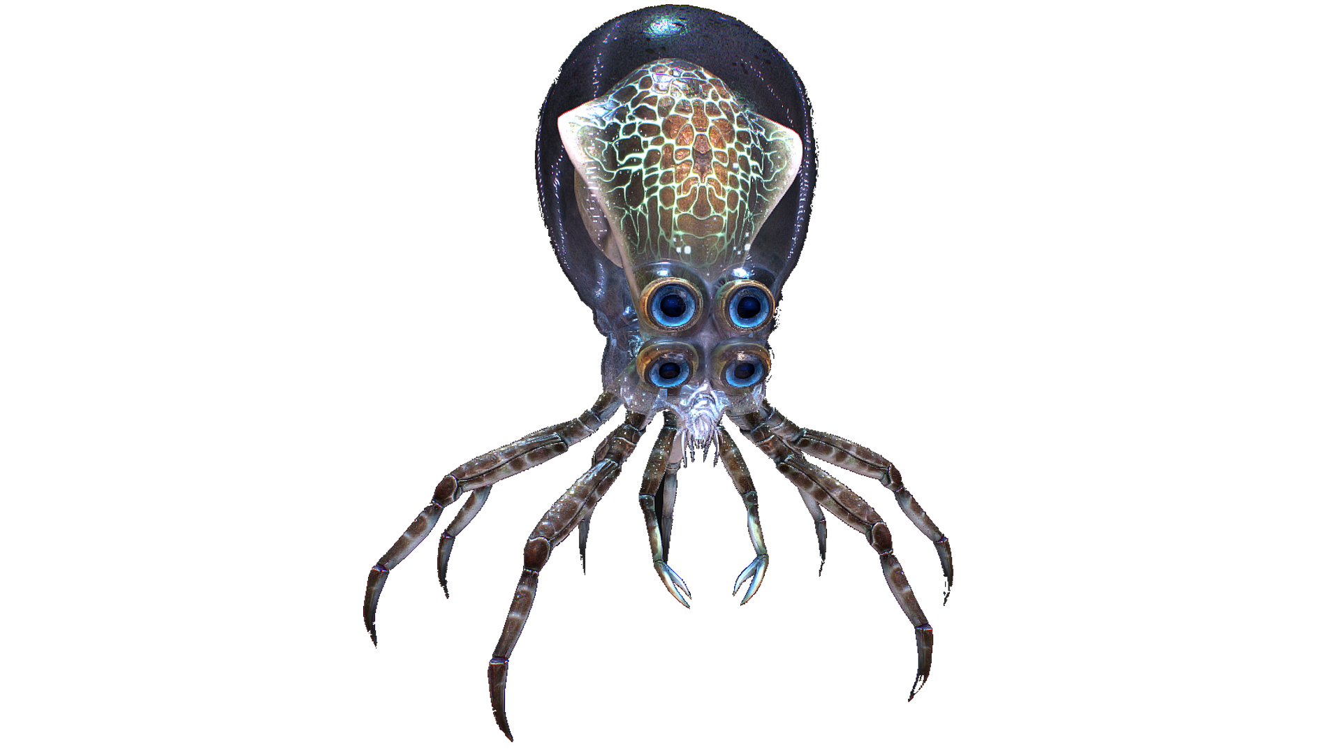 crab game png crab game png