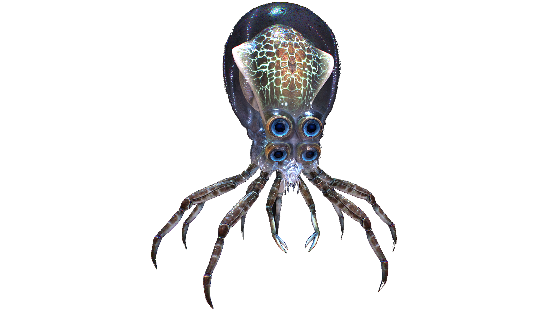 Crabsquid | Gigan389 Wiki | FANDOM powered by Wikia