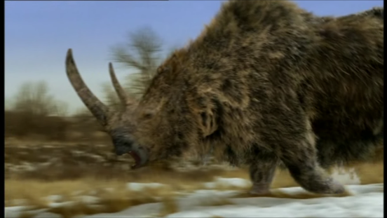 Woolly Rhinoceros (Walking with Beasts) | Gigan389 Wiki | Fandom