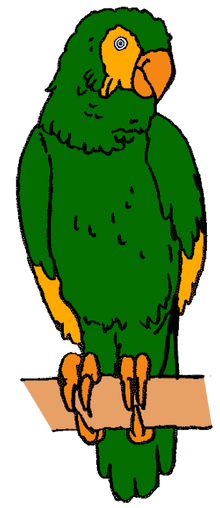 Polly