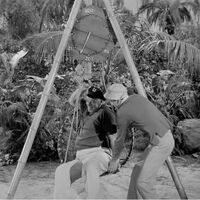 Physical Fatness Gilligan S Island Wiki Fandom