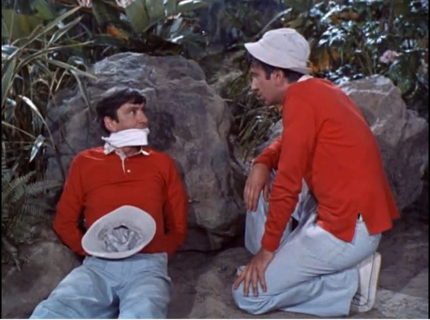 Gilligan Vs Gilligan Gilligans Island Wiki Fandom Powered By Wikia 