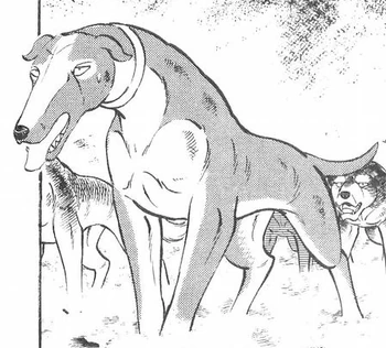 Kaito | Ginga Wiki | FANDOM powered by Wikia