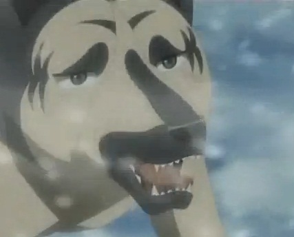 Image - John 5anime.jpg | Ginga Wiki | FANDOM powered by Wikia