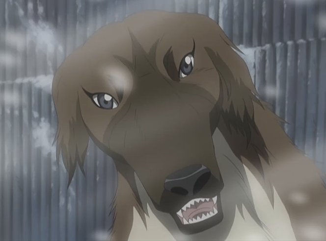 Missile | Ginga Wiki | FANDOM powered by Wikia