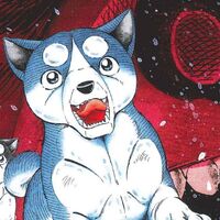 Get Wallpaper Sirius Ginga Wiki Fandom HD