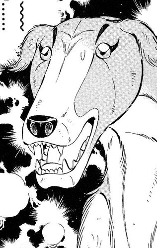 Rocket | Ginga Wiki | FANDOM powered by Wikia