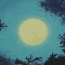 Ginga Nagareboshi Gin Gif