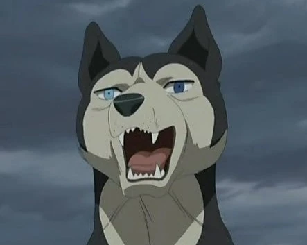 Nero Ginga Wiki Fandom Nero Ginga Wiki Fandom