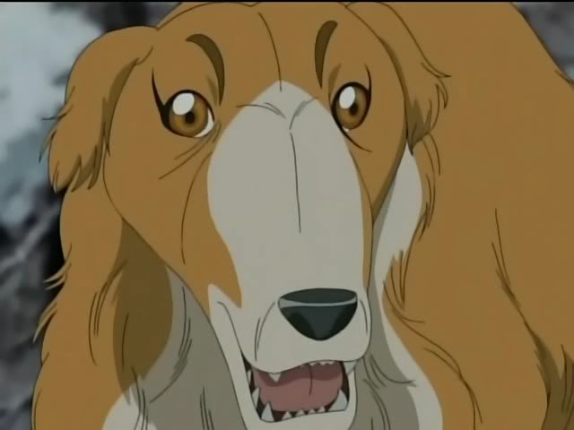 Image - Rocket astonished.jpg | Ginga Wiki | FANDOM powered by Wikia