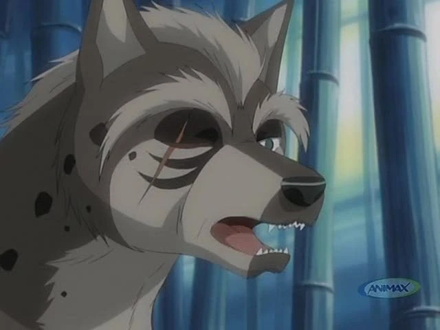 The Kōga Elder Ginga Wiki Fandom The Kōga Elder Ginga Wiki Fandom