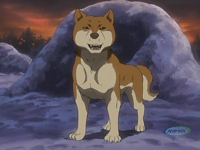 Sasuke | Ginga Wiki | FANDOM powered by Wikia