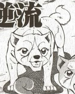 koyuki ginga koyuki gdatj ginga wiki fandom powered by wikia koyuki ginga koyuki gdatj ginga wiki fandom powered by wikia