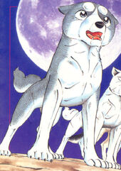 Scan0004ym