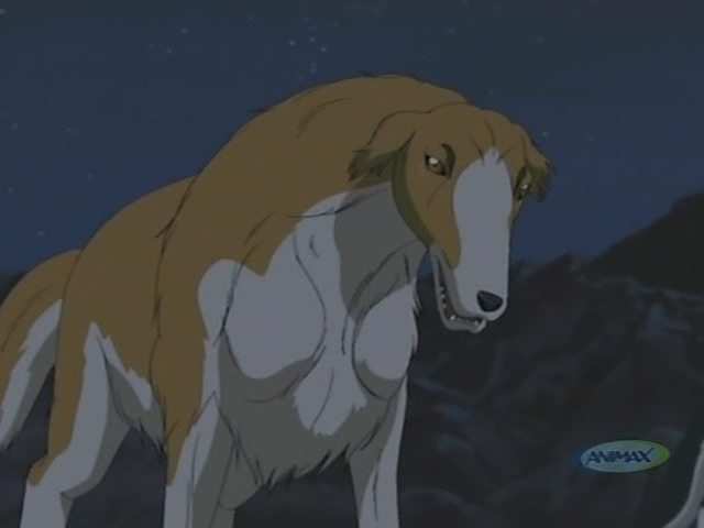 Rocket | Ginga Wiki | FANDOM powered by Wikia