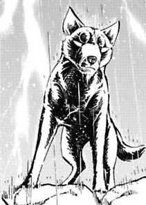 RandomDog