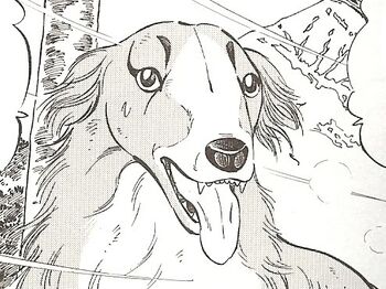 Rocket | Ginga Wiki | FANDOM powered by Wikia