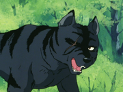 Kurototra